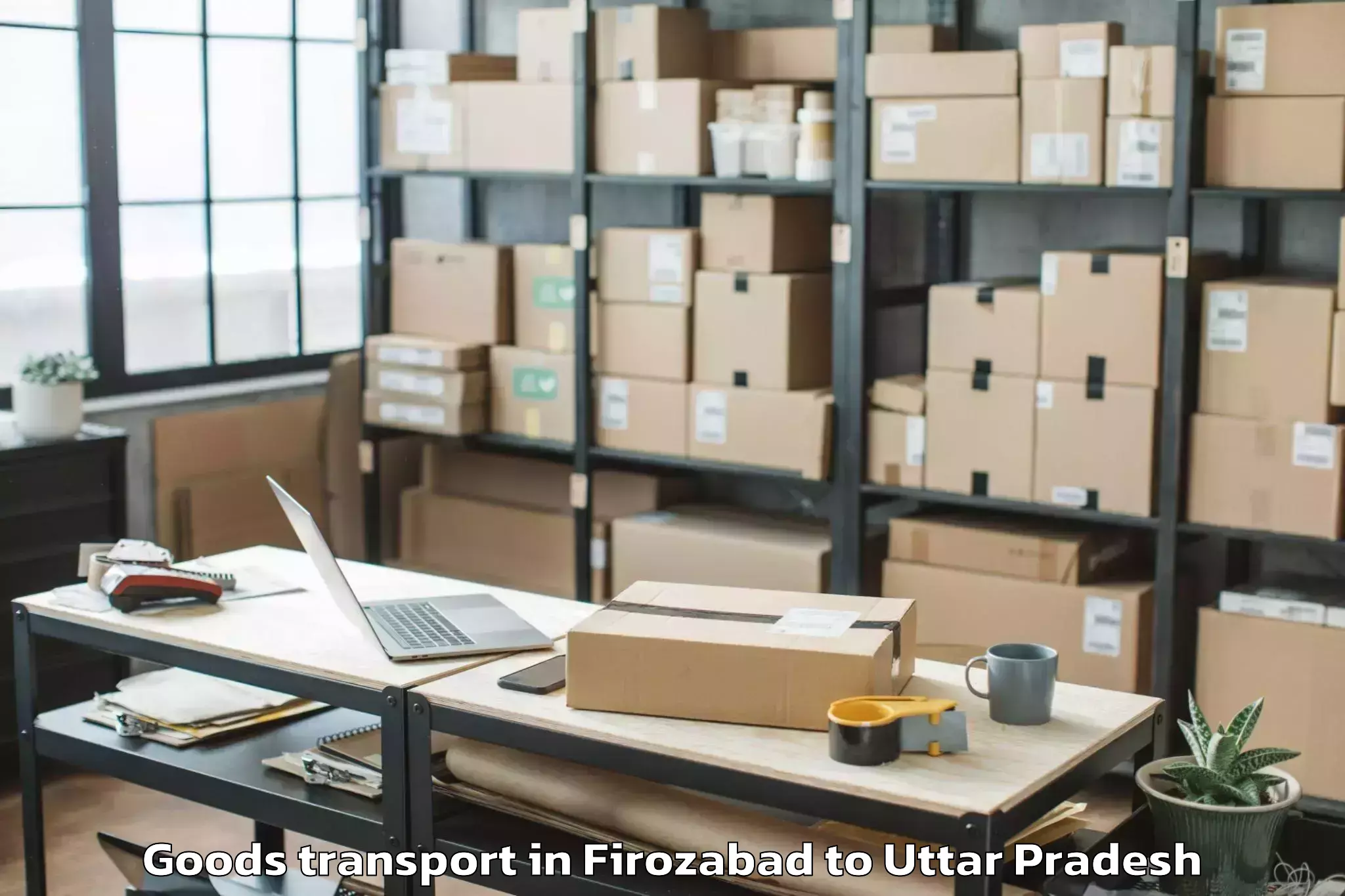 Professional Firozabad to Nehru Gram Bharati Vishwavidya Goods Transport